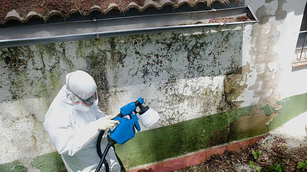Top rated local Mold Testing specialists in Dublin, GA